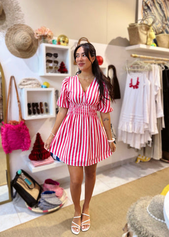 Alexa Dress - Pink Stripe